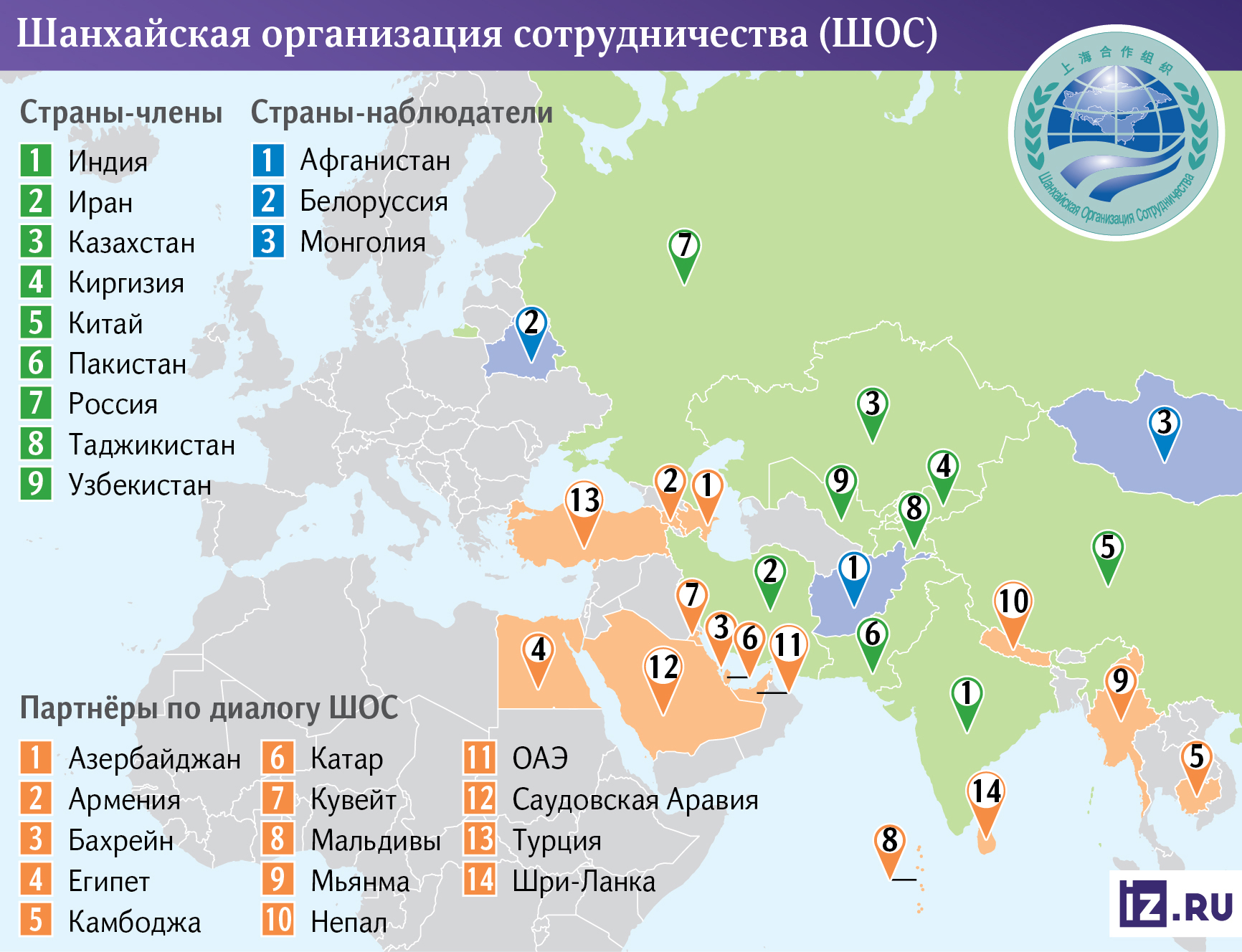 Инфографика