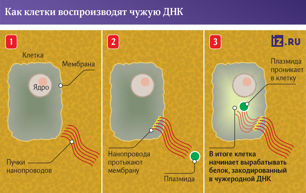 Инфографика