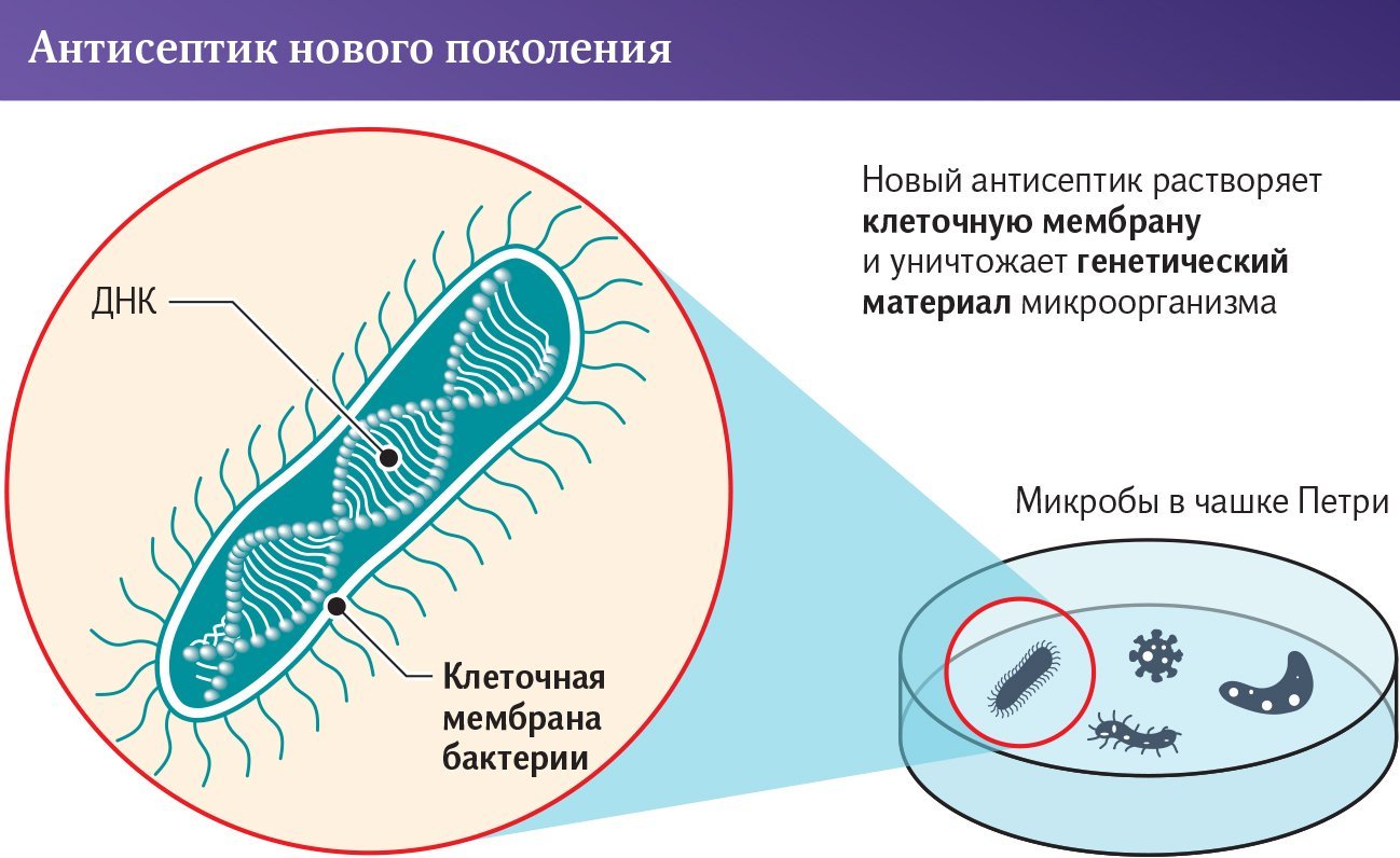 Инфографика