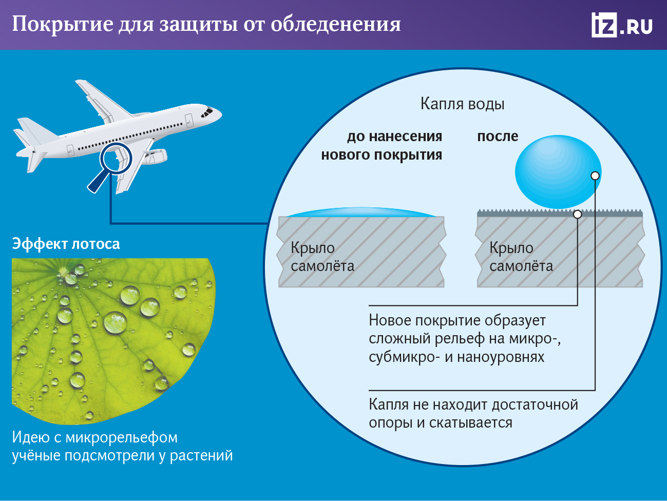 Инфографика