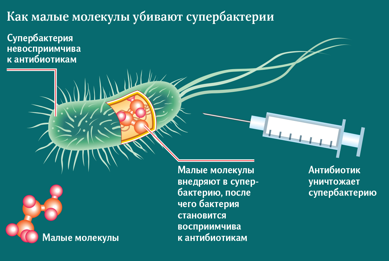 Инфографика