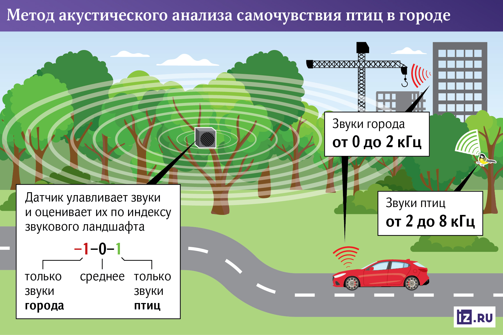 Инфографика