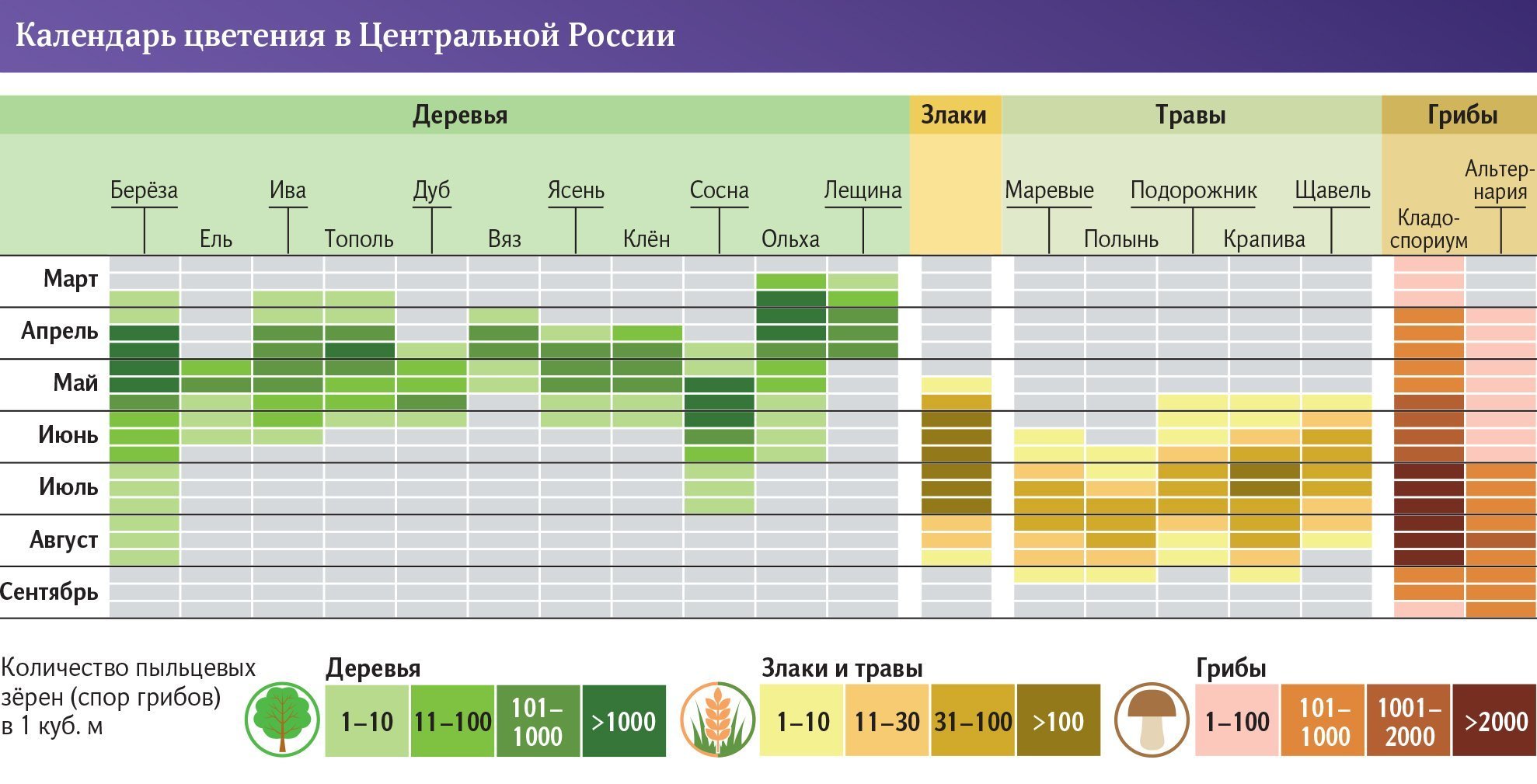 инфографика