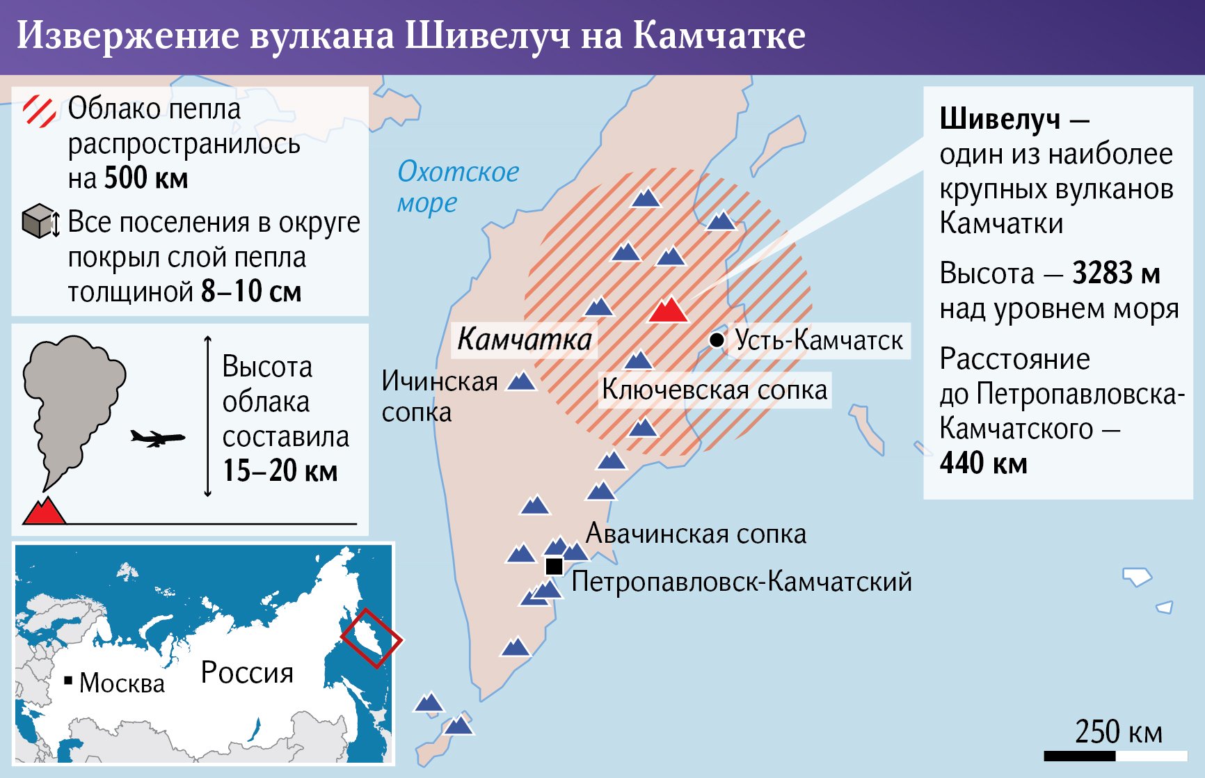 инфографика