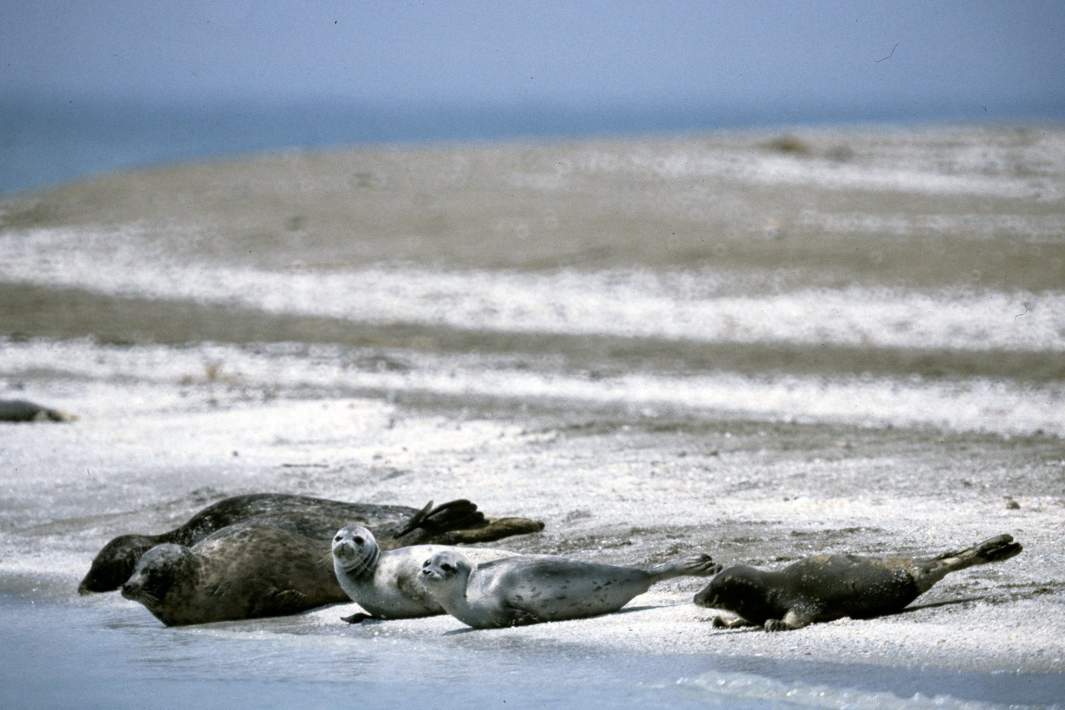 Каспийское море