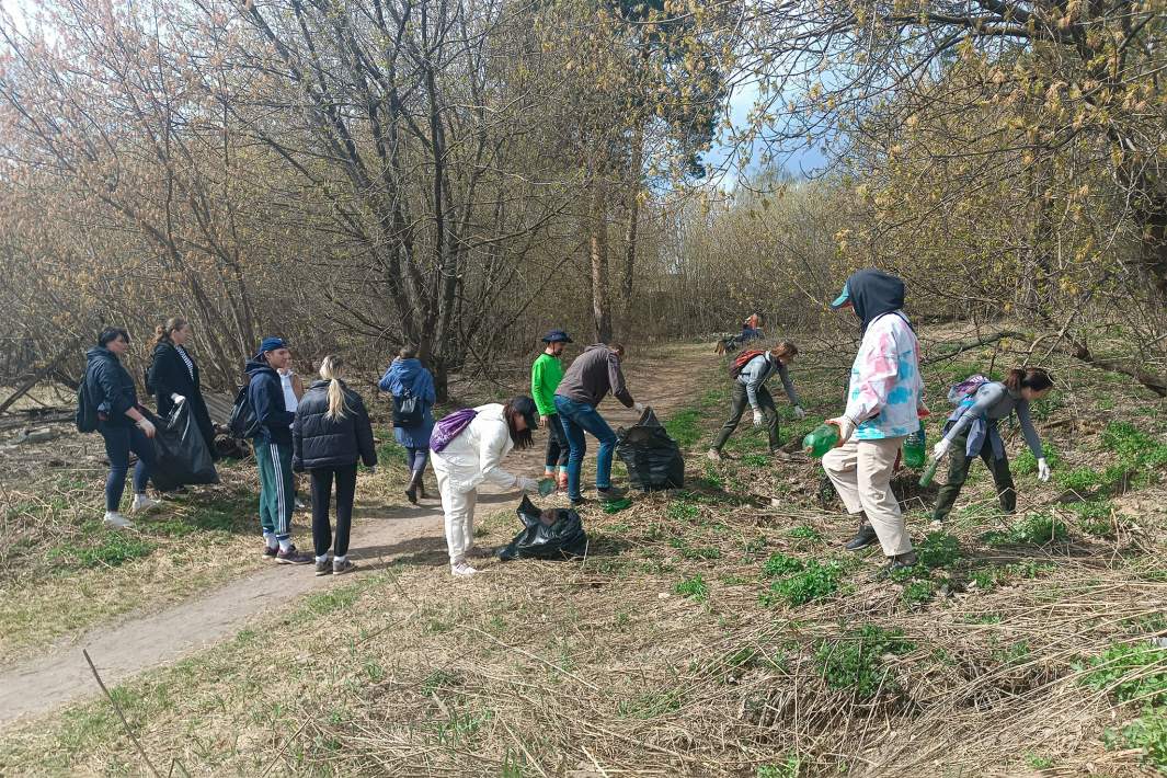 Хранители тропы во время уборки