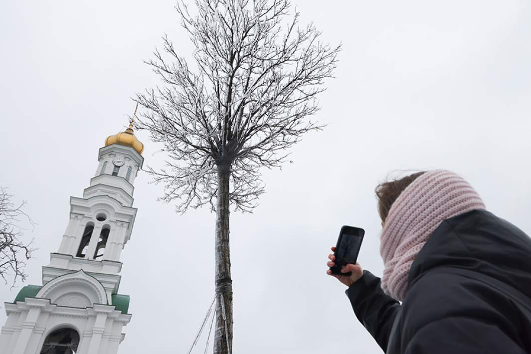 Последствия ледяного дождя в Ростове-на-Дону