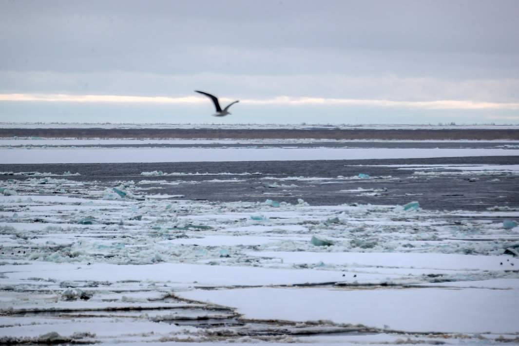 Ледоход на реке Енисей в районе Дудинского морского порта