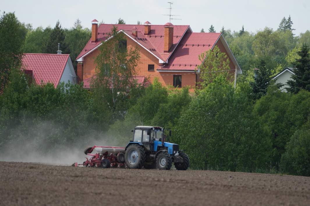 Посевная